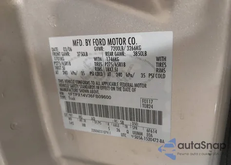 2006 Ford F-150 Fx4/Lariat/Xl/Xlt from USA, damaged, VIN 1FTPX14V36FB09600